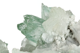 Gemmy Apophyllite Crystals with Stilbite - India #243886-2